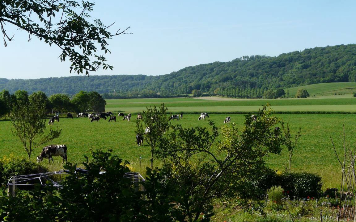 Photo of Others in Bonzee