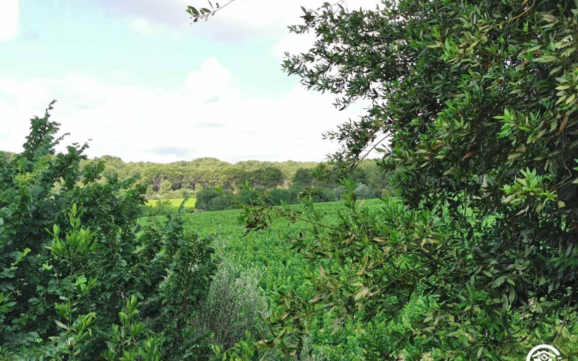 Photo of Others in Montagnac
