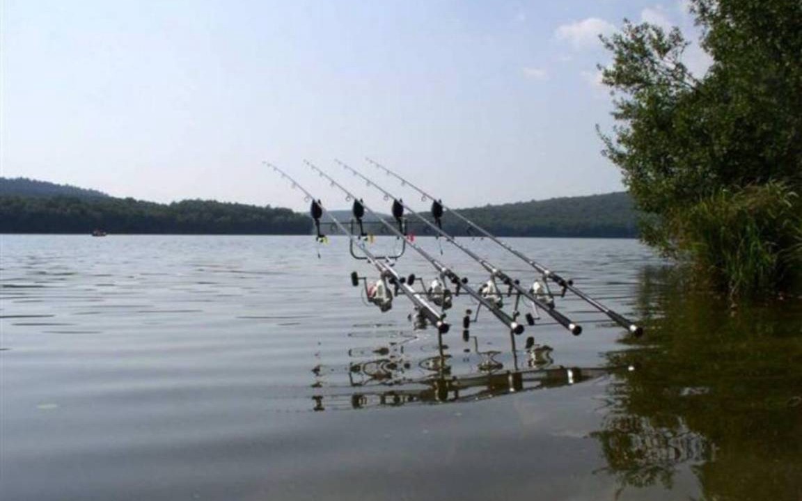 Photo of Others in Deville