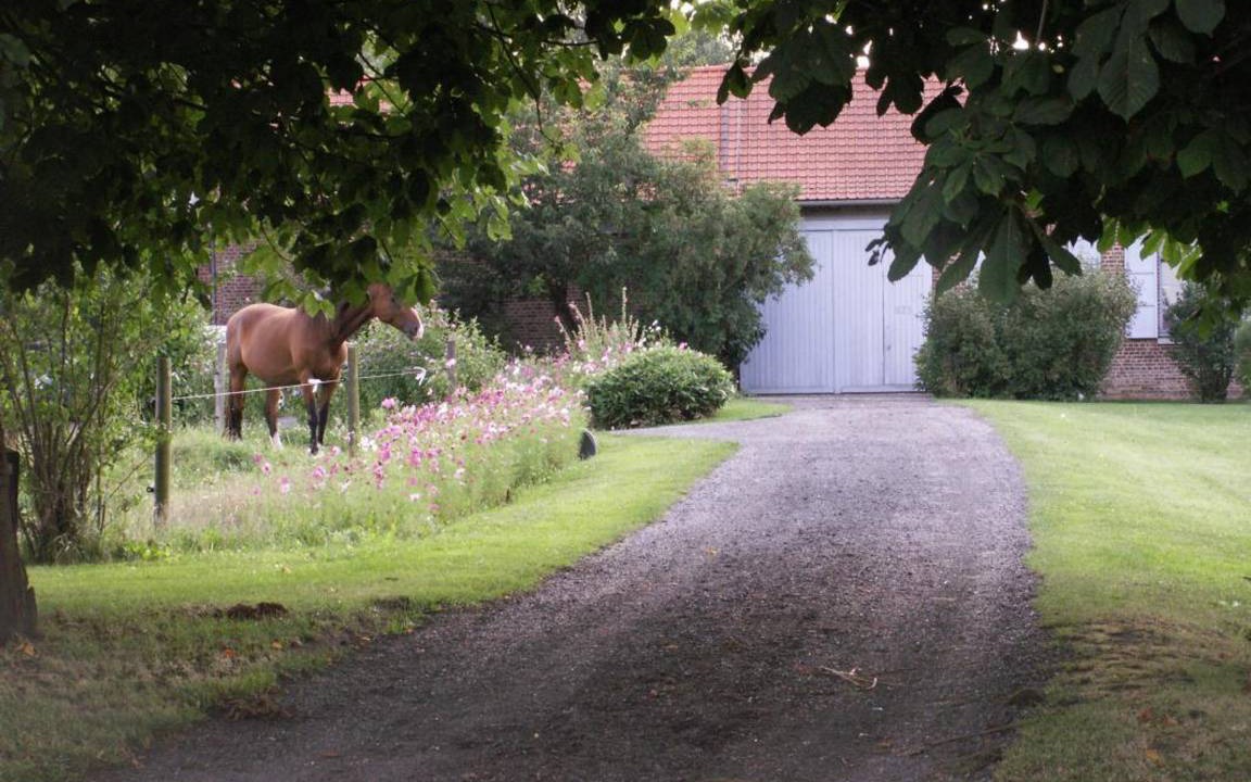 Photo of Others in Fournes-en-Weppes