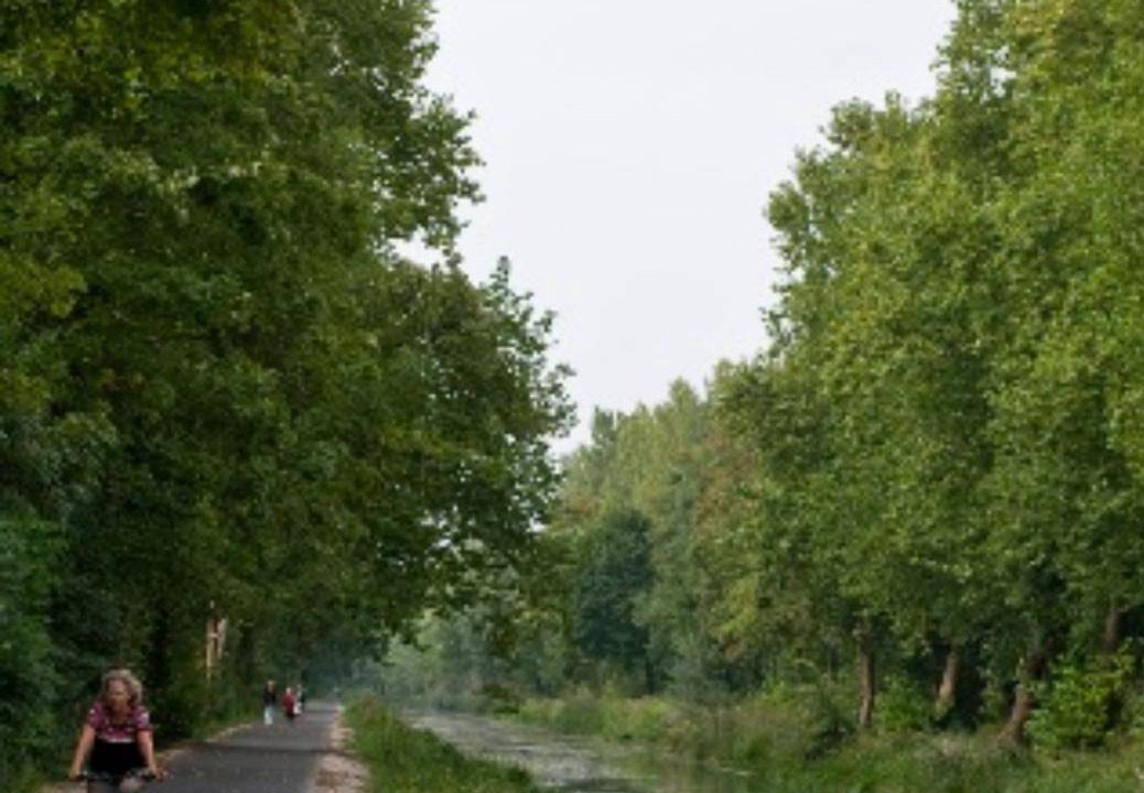 Photo of Others in Savieres