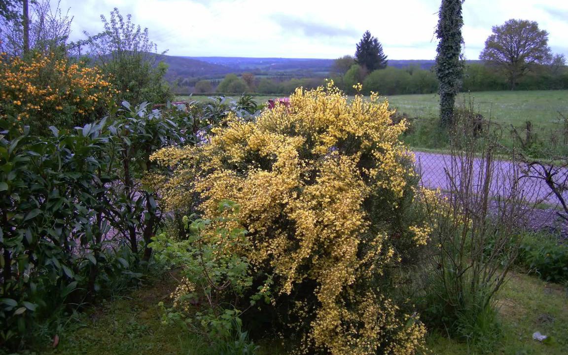 Photo of Others in Maux