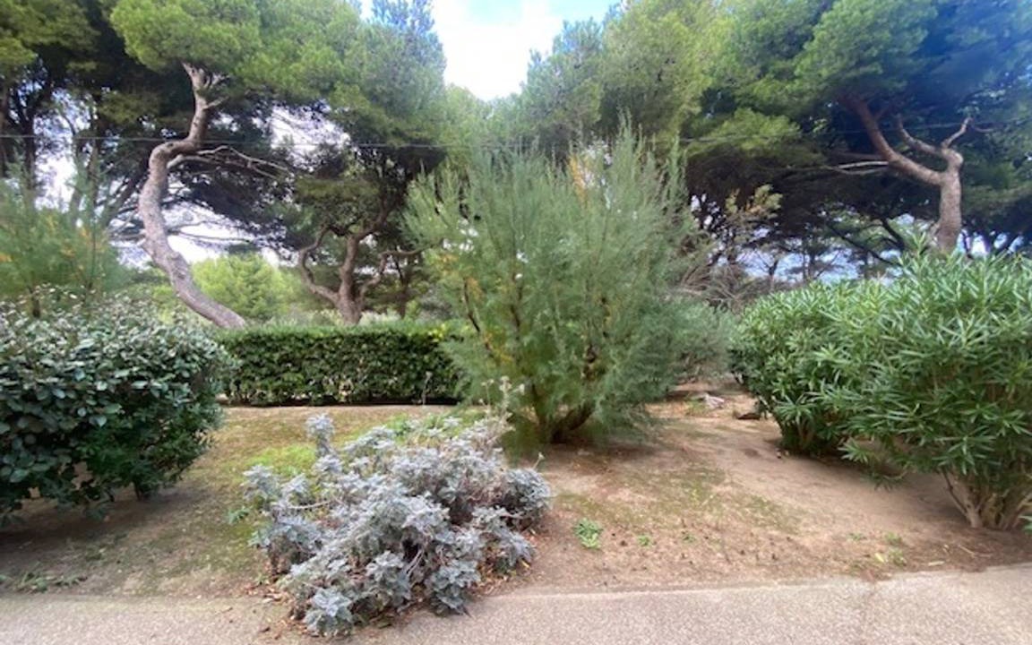 Photo of Outdoor in Vert-le-Grand