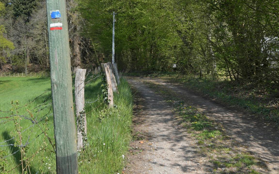Photo of Others in Saint-Mard-de-Reno