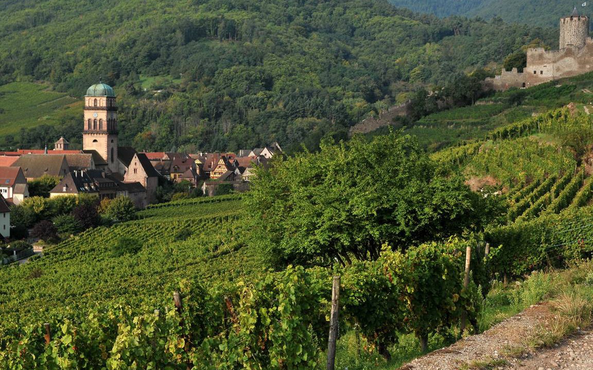 Photo of Outdoor in Kaysersberg-Vignoble