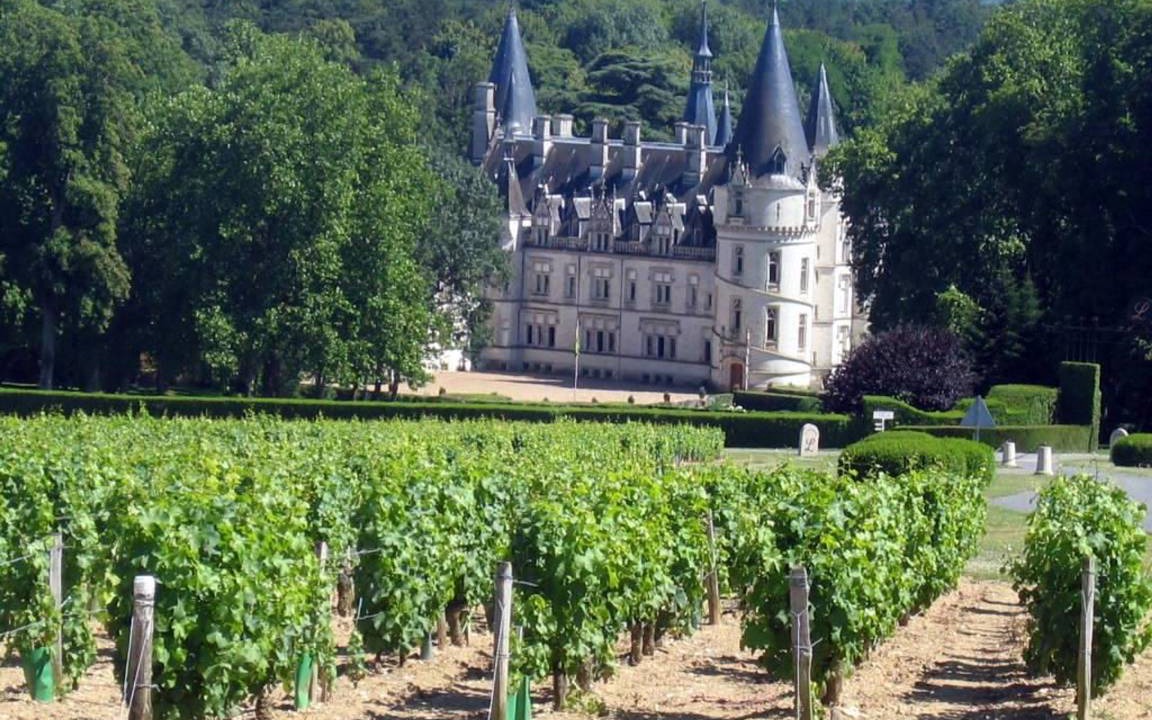 Photo of Others in Pouilly-sur-Loire