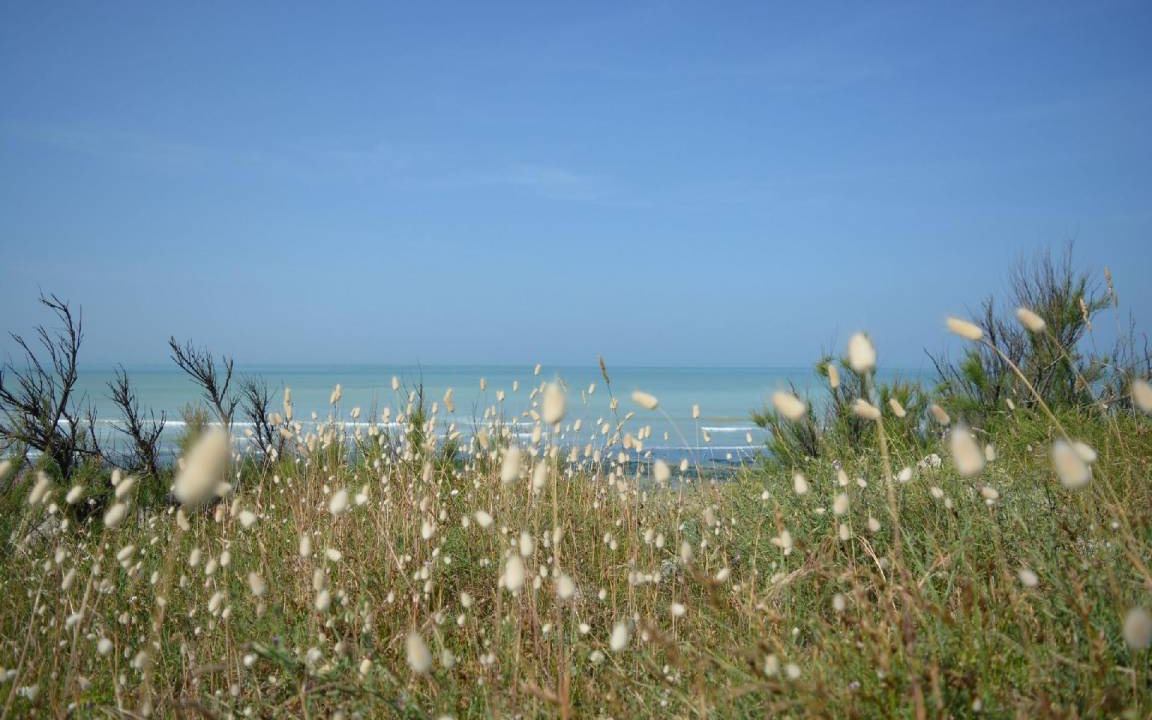 Photo of Others in Sainte-Marie-de-Re