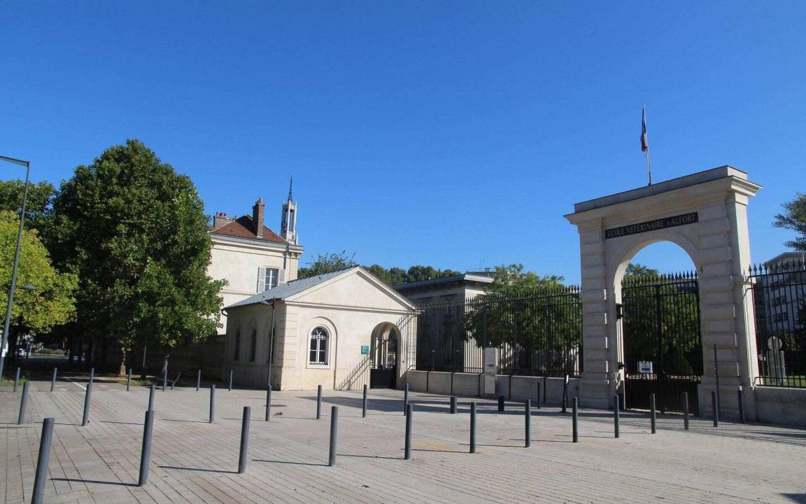 Photo of Others in Maisons-Alfort