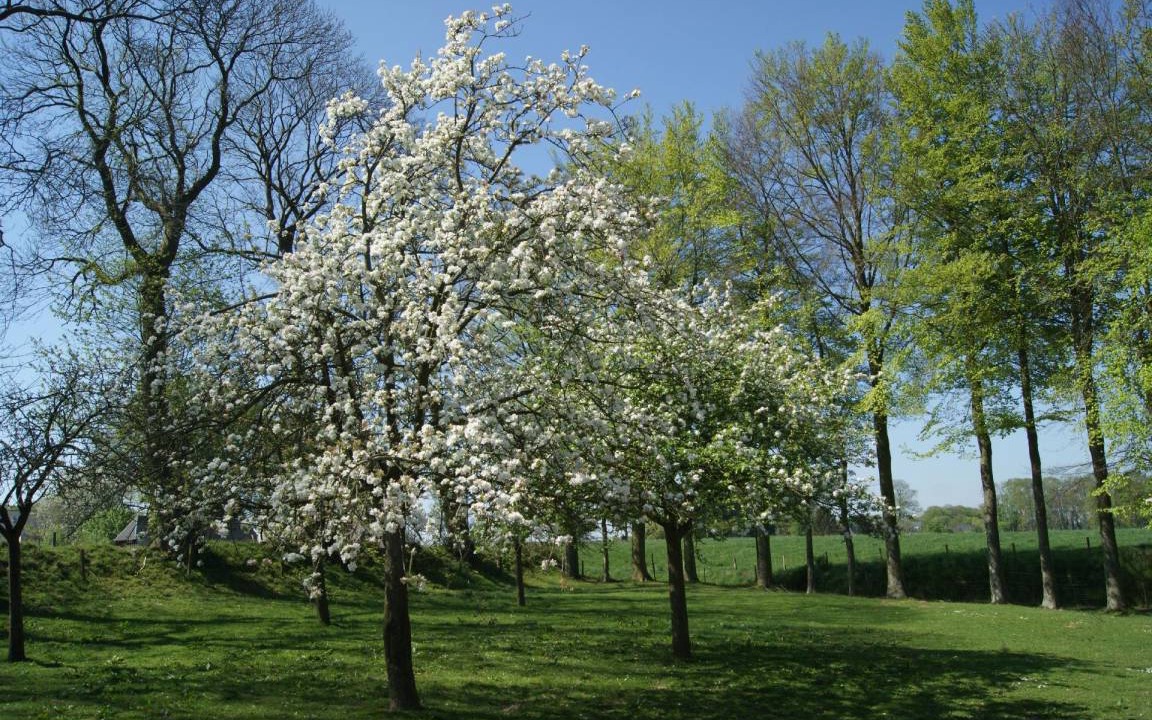 Photo of Outdoor in Bretteville-du-Grand Caux