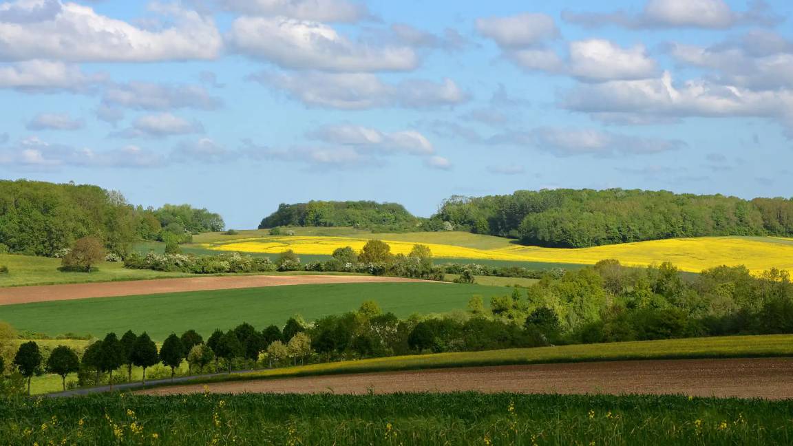Photo of Others in Iviers