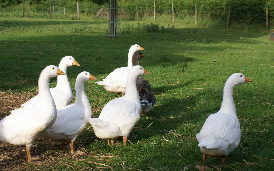 Photo of Others in Croisy-sur-Andelle