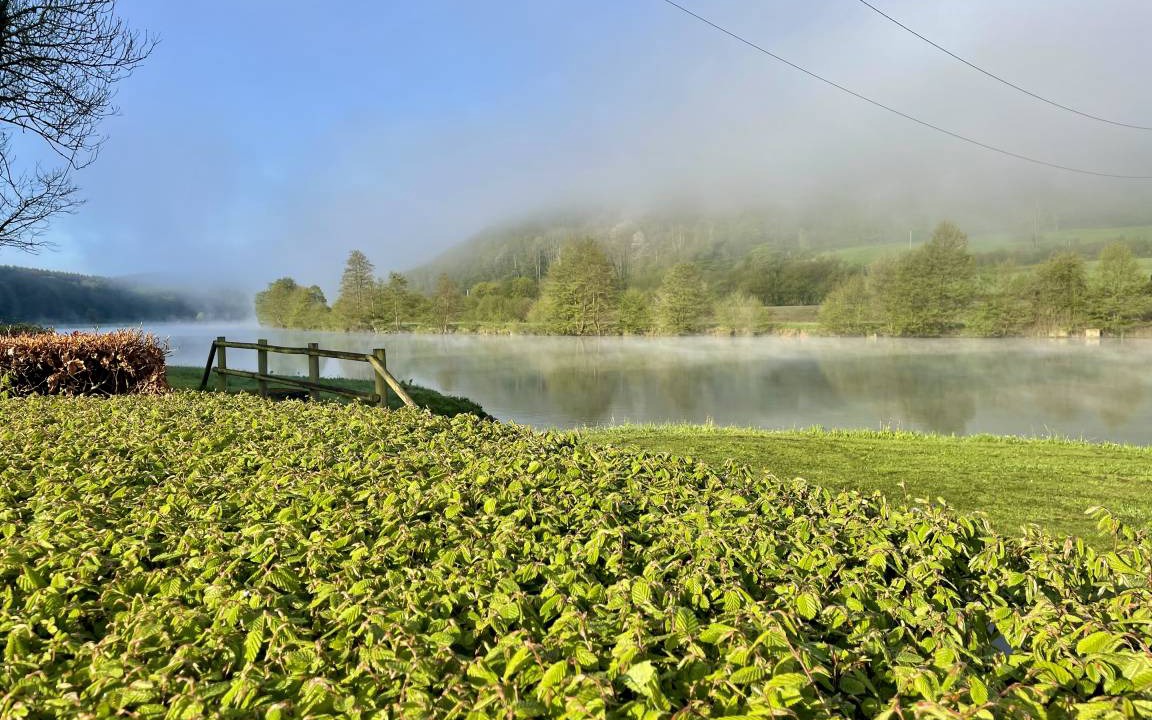 Photo of Others in Vireux-Wallerand