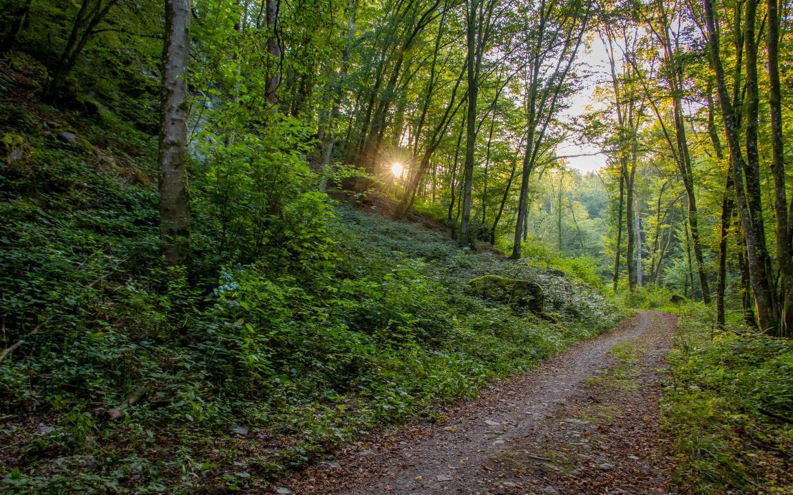 Photo of Others in Vireux-Wallerand