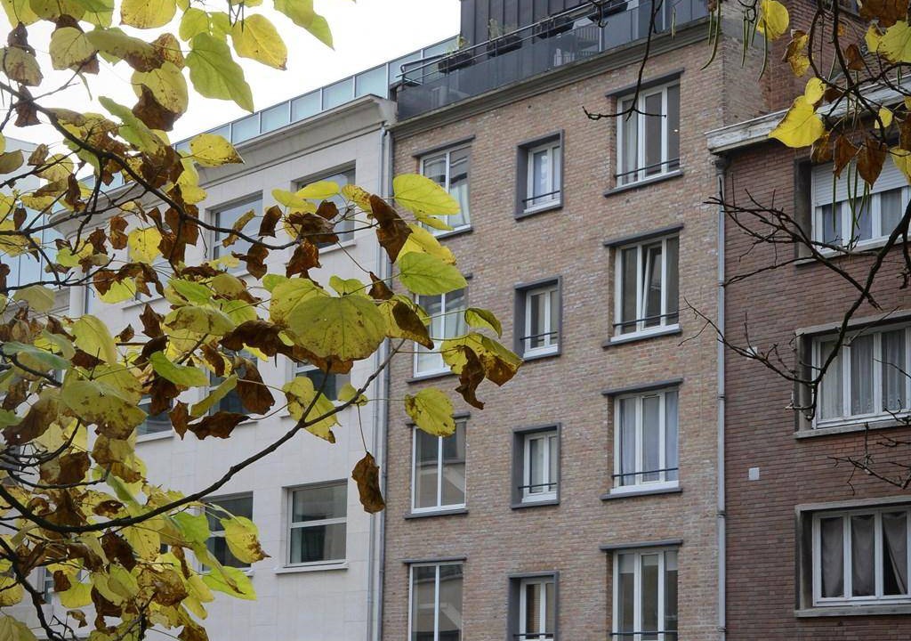 Photo of Others in Lille Centre Ville