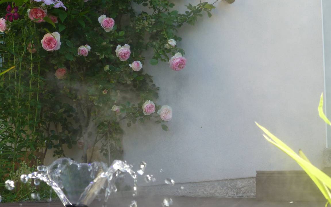 Photo of Others in Dun-sur-Meuse