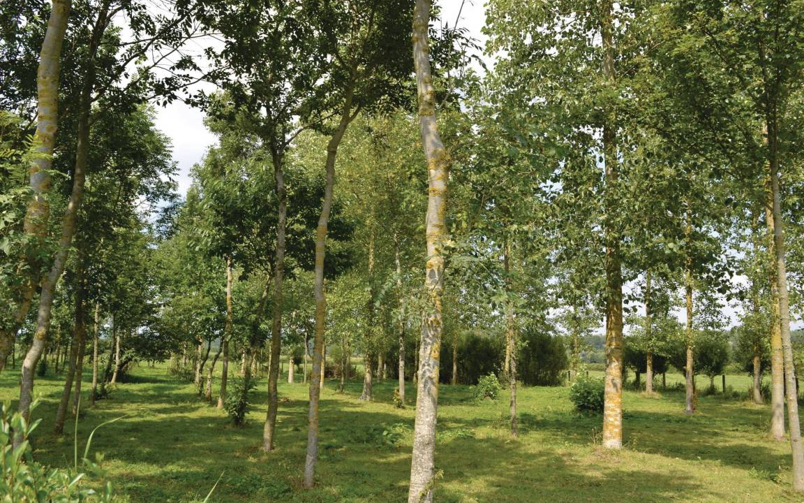 Photo of Others in Lottinghen
