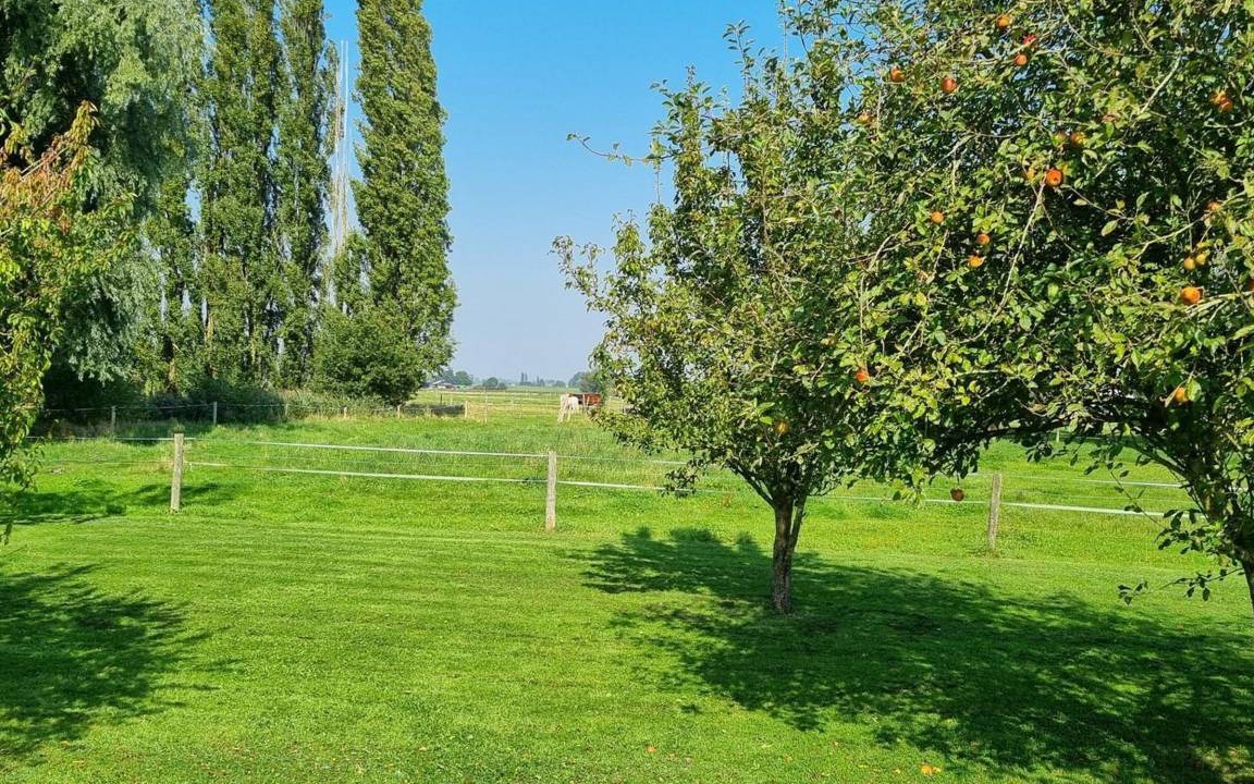 Photo of Others in Fournes-en-Weppes
