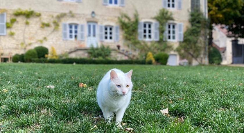Photo of Others in Lusigny-sur-Ouche