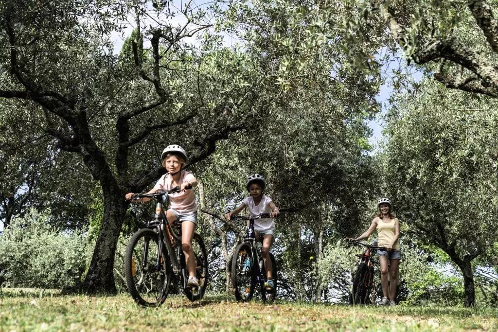 Photo of Others in Casteljau