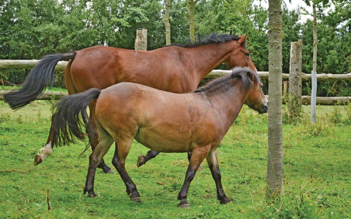 Photo of Others in Lottinghen