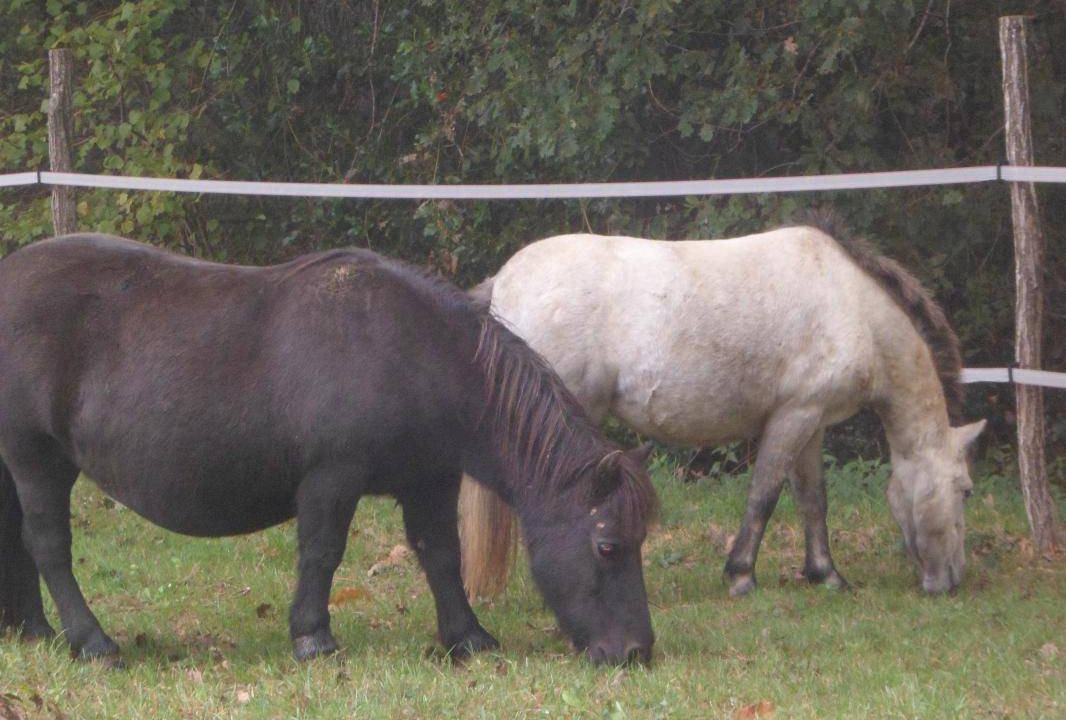 Photo of Others in Pirajoux