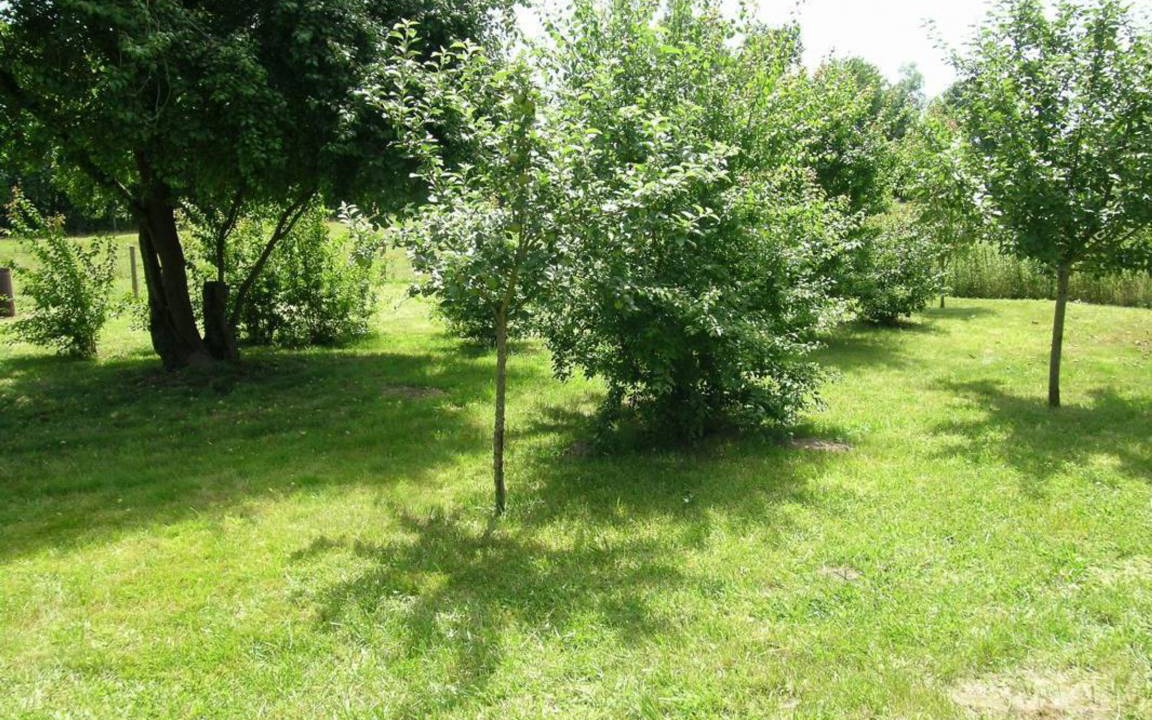 Photo of Others in Dompierre-sur-Besbre