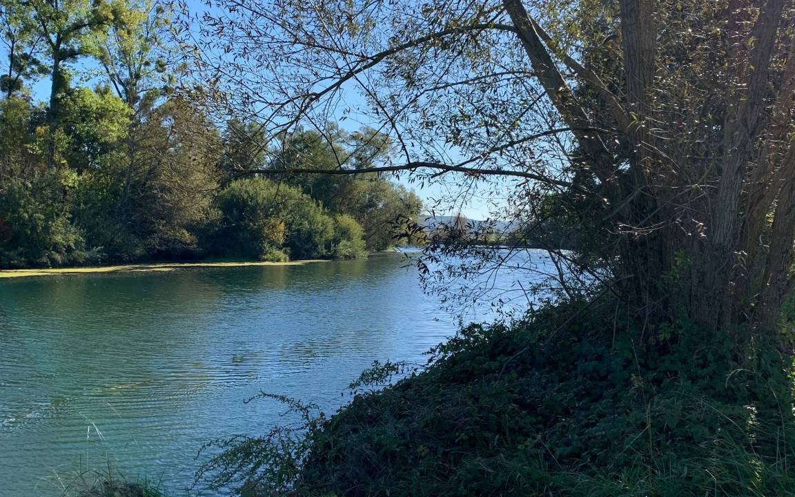 Photo of Others in Forges-sur-Meuse