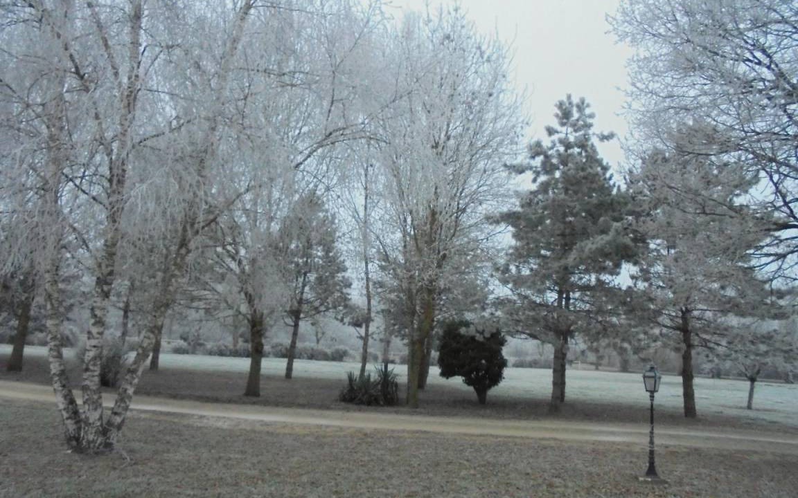 Photo of Others in Romilly-sur-Seine