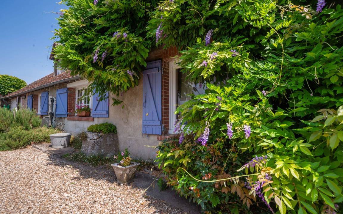 Photo of Buildings in Saint-Denis-sur-Loire
