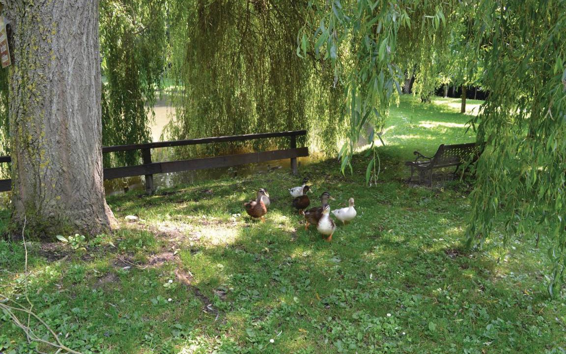 Photo of Others in Wimille
