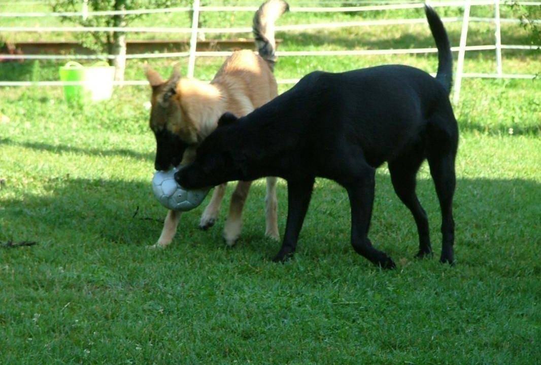 Photo of Others in Pirajoux