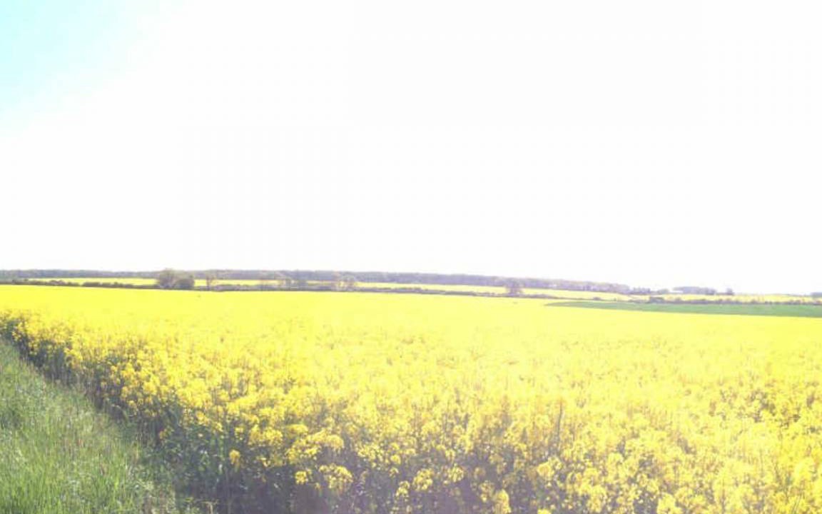 Photo of Others in La Saucelle