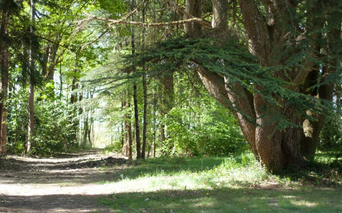 Photo of Others in Cere-la-Ronde
