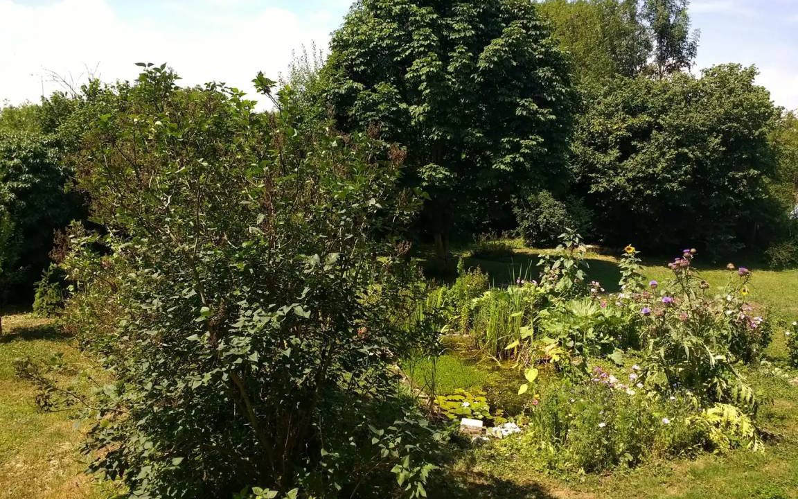 Photo of Others in Chatelraould-Saint-Louvent