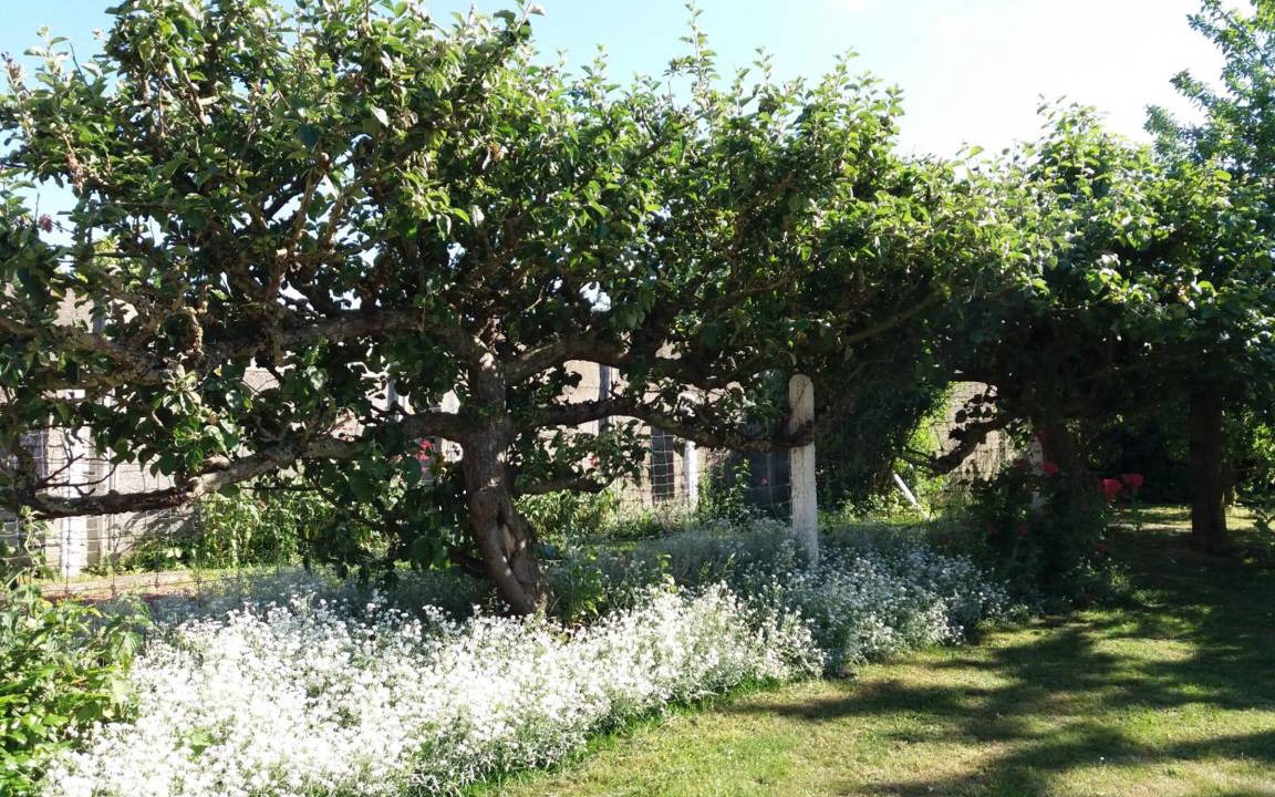 Photo of Others in Fontaine-les-Croisilles