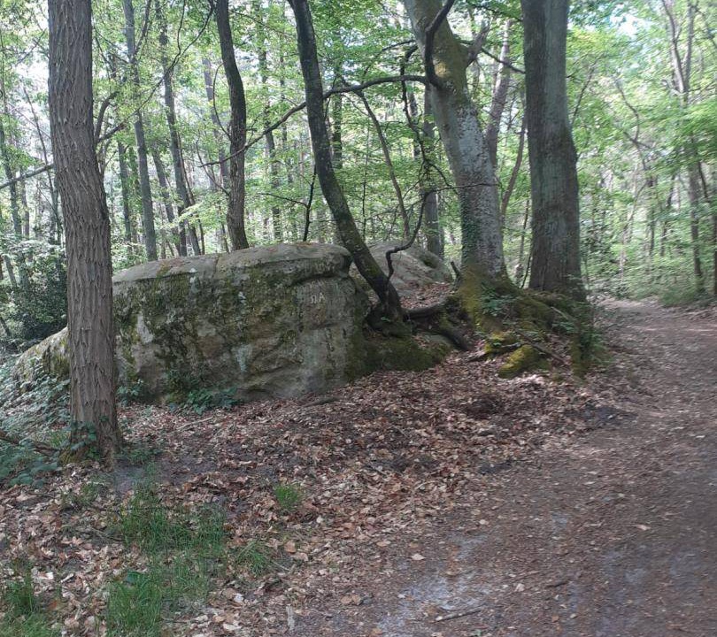 Photo of Others in Arbonne-la-Foret