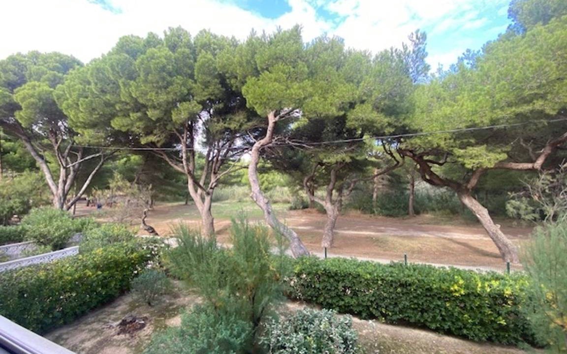 Photo of Others in Vert-le-Grand