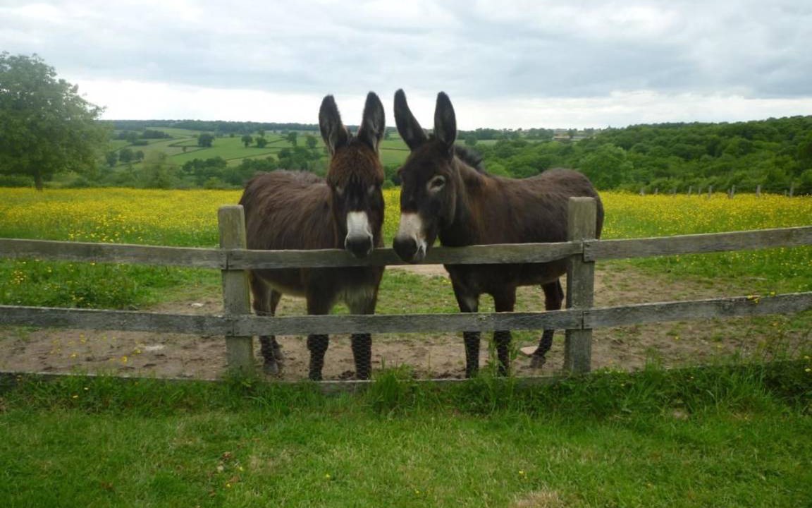 Photo of Others in Saint-Andre-en-Morvan
