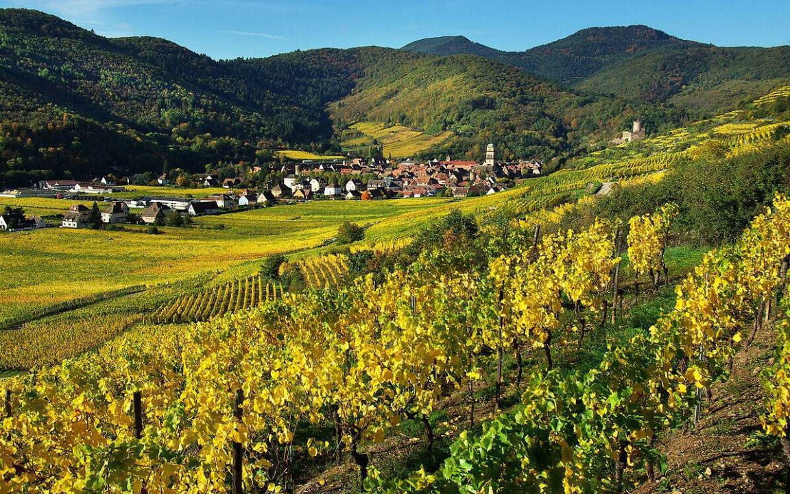 Photo of Others in Kaysersberg-Vignoble