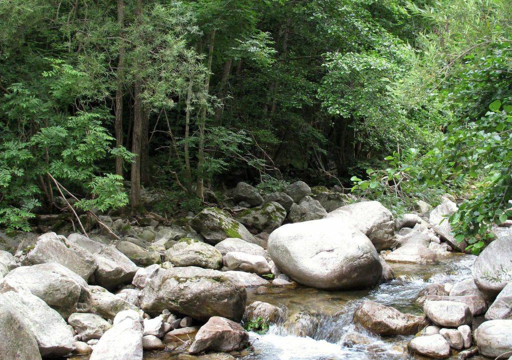 Photo of Others in Valgorge