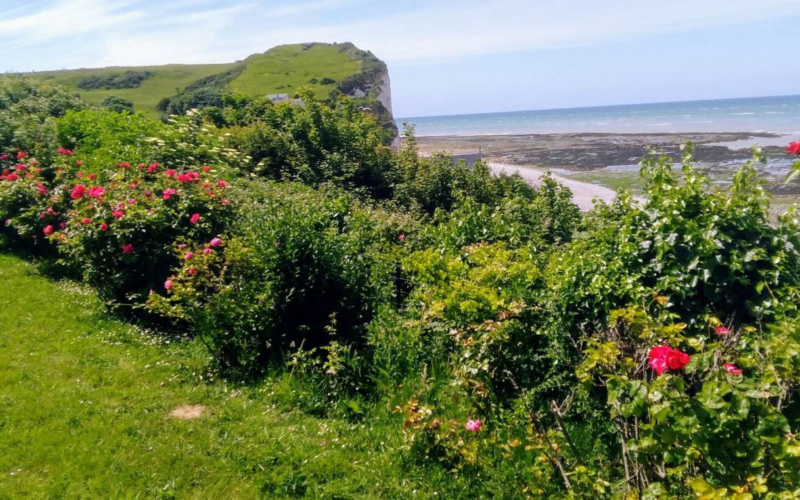 Photo of Others in Veulettes-sur-Mer