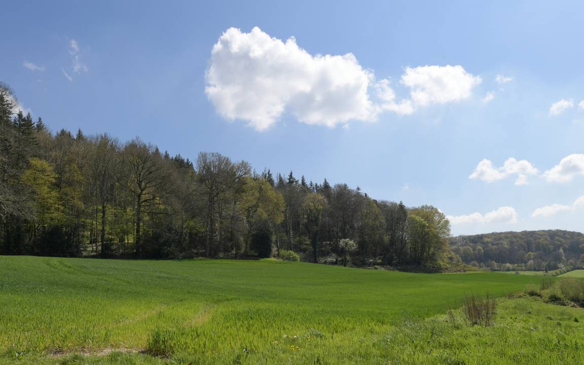 Photo of Others in Saint-Mard-de-Reno
