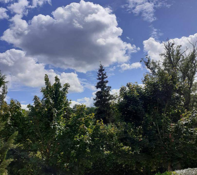 Photo of Others in Arbonne-la-Foret