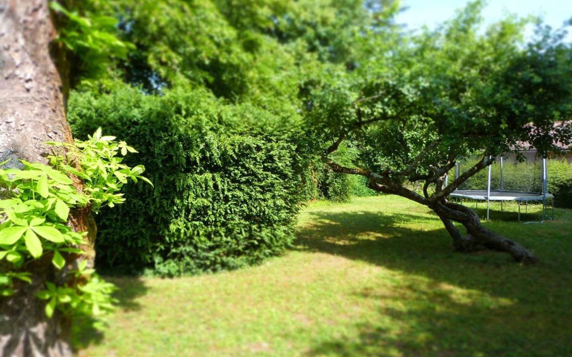 Photo of Others in Savigny-les-Beaune