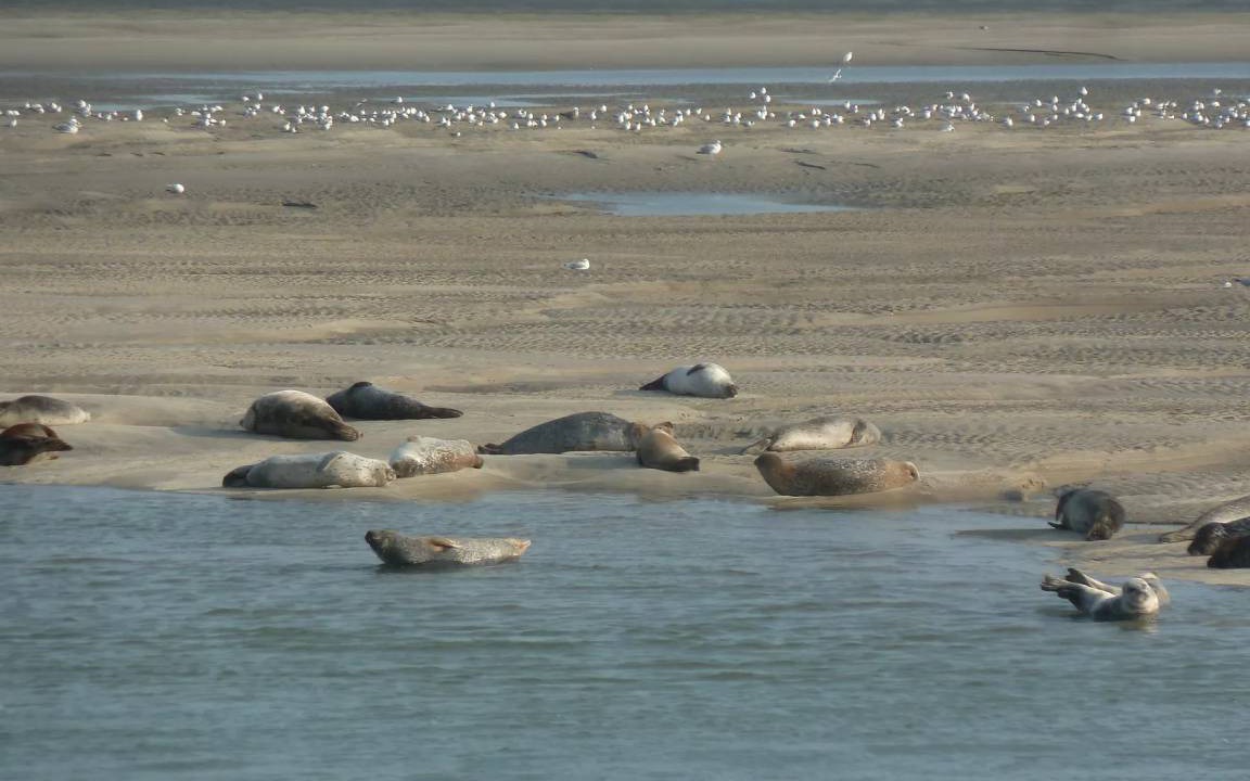 Photo of Others in Saulchoy