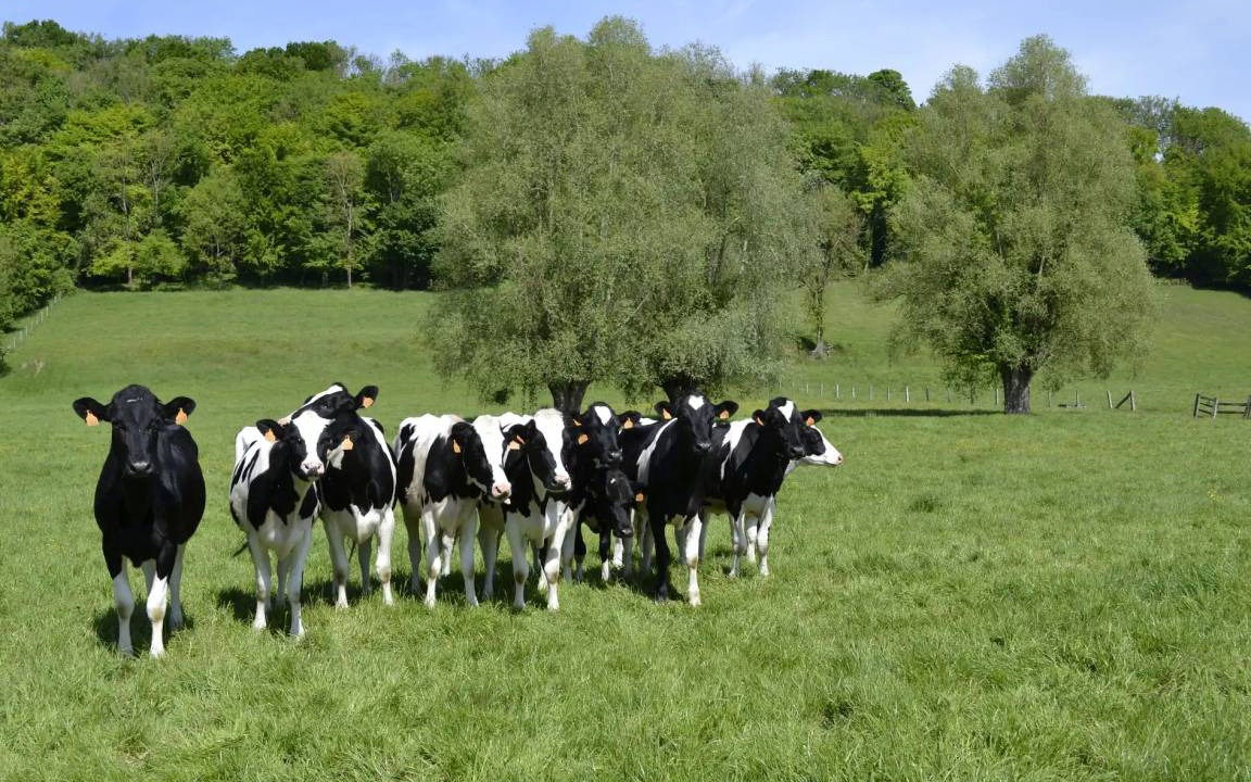 Photo of Others in Campagne-les-Boulonnais