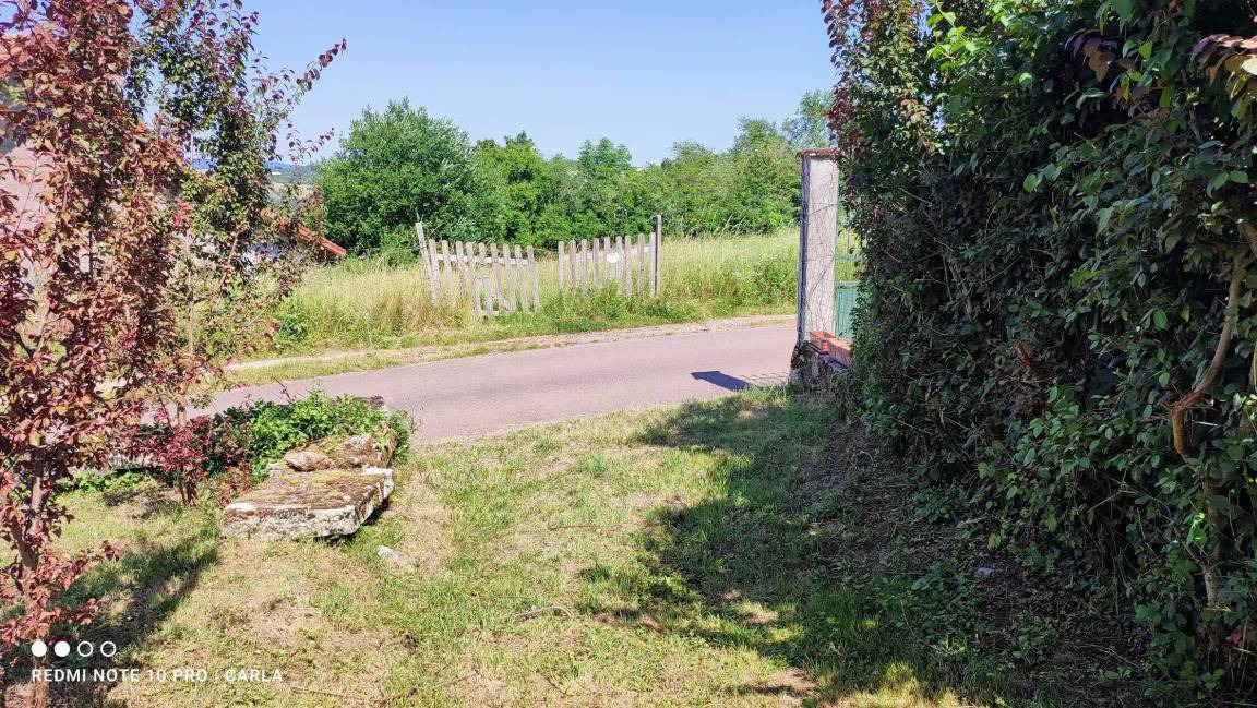 Photo of Others in Tannay