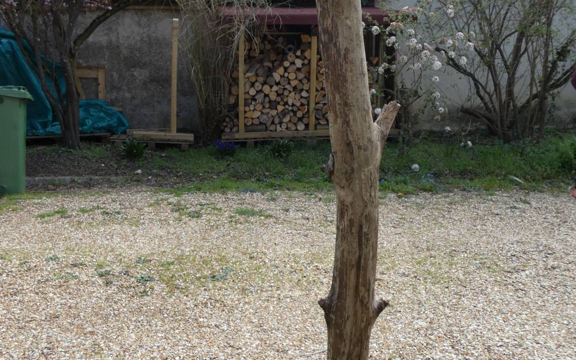 Photo of Others in Garnay