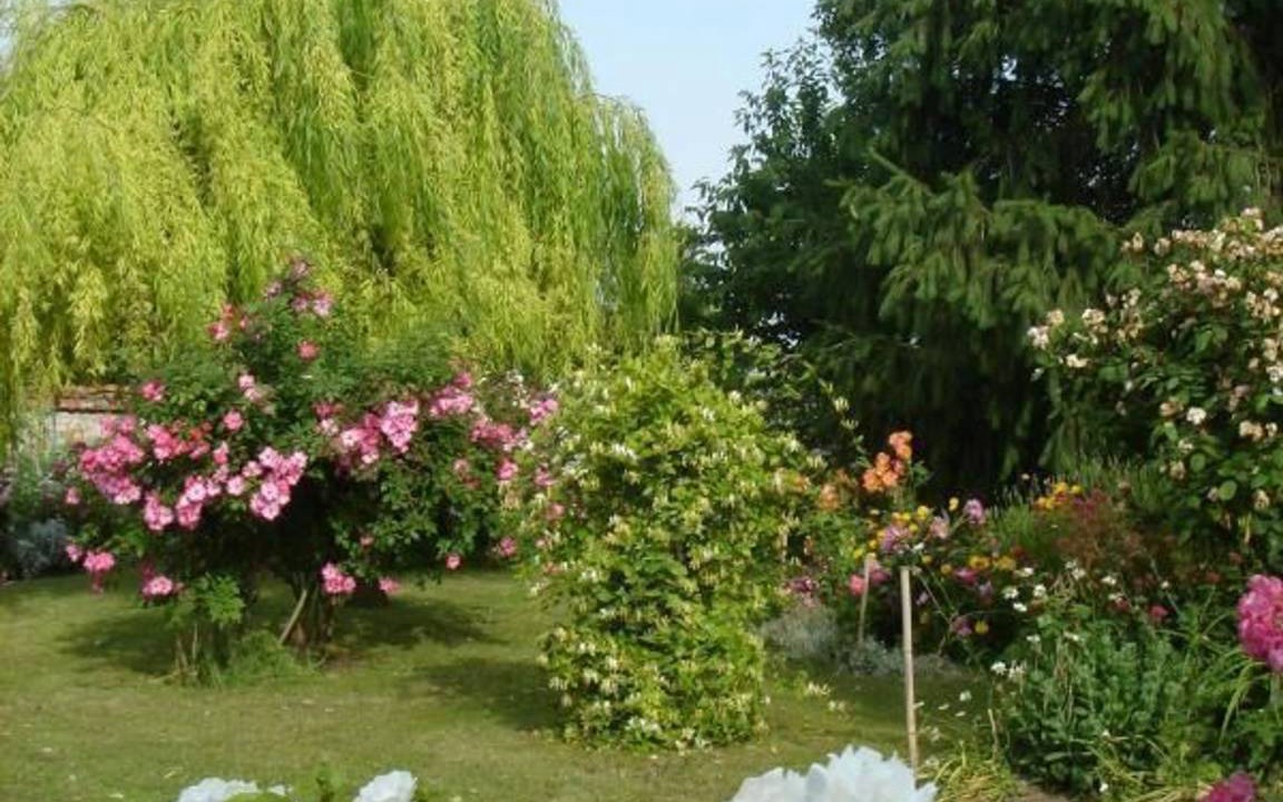 Photo of Others in Pithiviers-le-Vieil