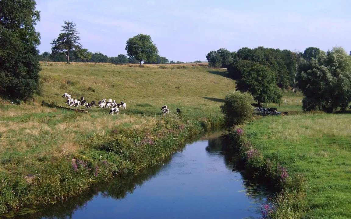 Photo of Others in Dun-sur-Meuse